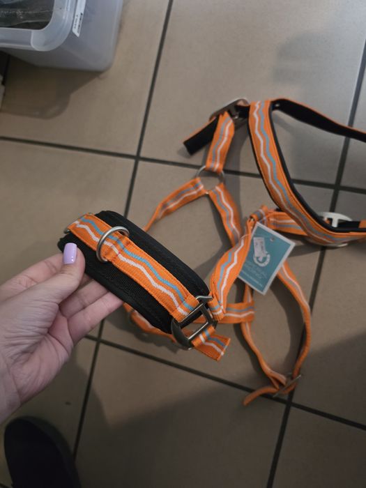 Nowy Kawecan Imperial Riding orange Full