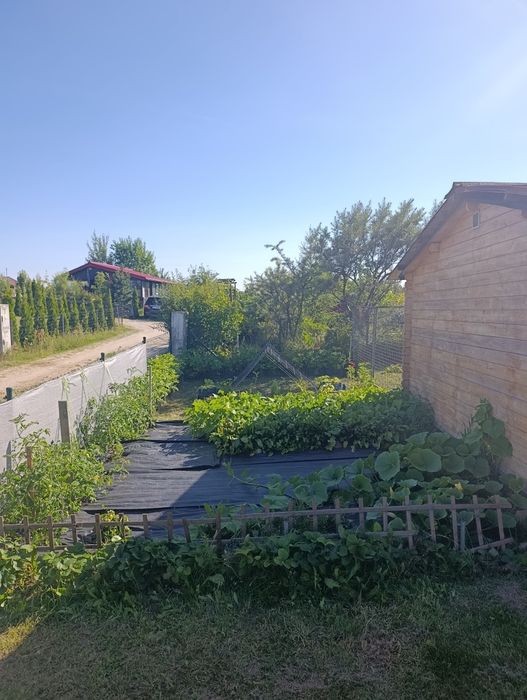 Działka ROD Gdańsk Jasień