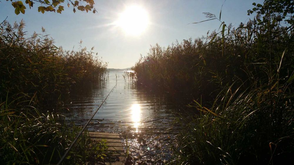 Całoroczny domek na Kaszubach z sauną i balią, nad jeziorem przy lesie