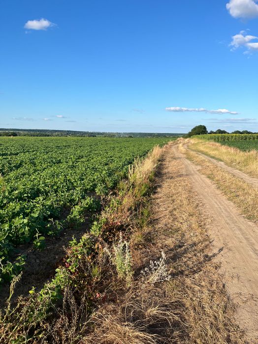 Земельна ділянка Широка Гребля 15 соток