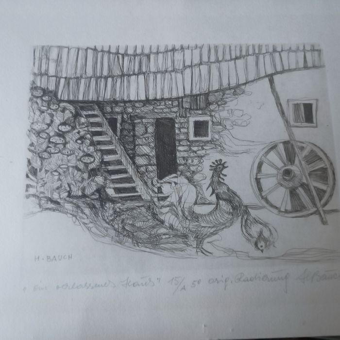 Grafika H. Bauch