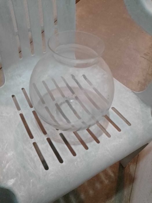 Pertende casa para Peixinho/a?Aquario lindo12E-Outro Aquario10EDesde2E