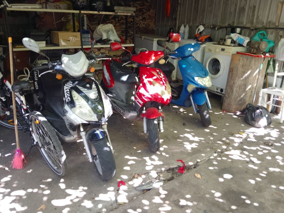 Vendo  pombas cinza bonitas e motas com pouco uso