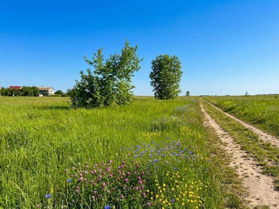 Продаж ділянки 19 соток для будівництва. Електрика поруч. ID:530