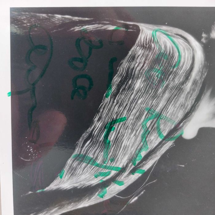 Fadista Amalia Rodrigues Foto com dedicatória e autografada