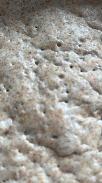 Chleb na żytnim zakwasie ze śliwkami