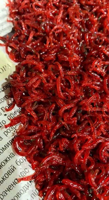 Moth for fish gaisin