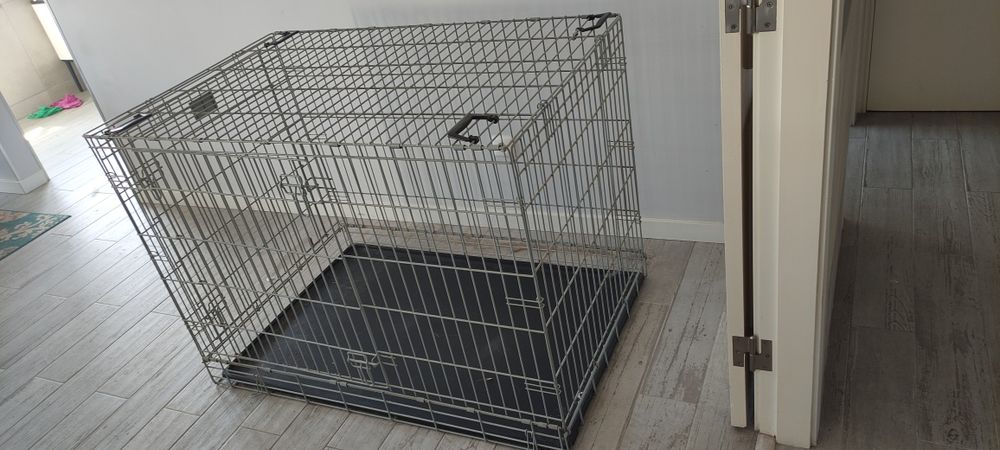 Canil estilo gaiola para cães