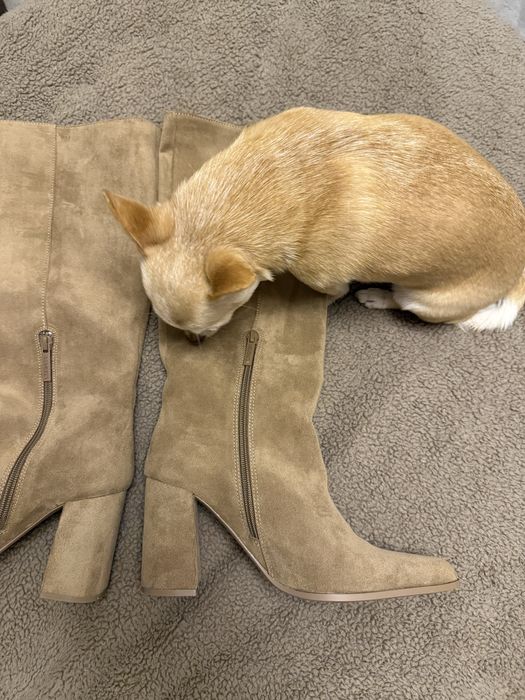 Сапоги, 38 р, Bershka