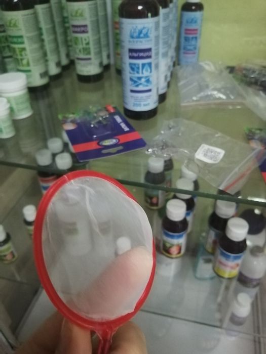 Сачок для яєць  артемії, Сачок для яиц науплий артемии,