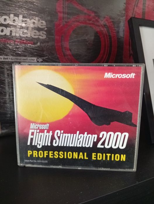 Flight simulator 2000 professional edition