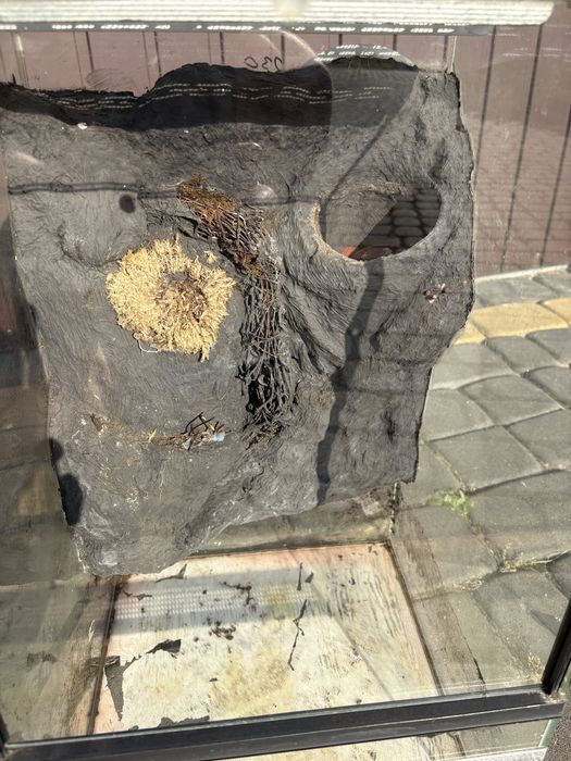 Terrarium dla gada 50x30x30 z siatką