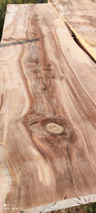 Tartak mobilny , trak tasmowy