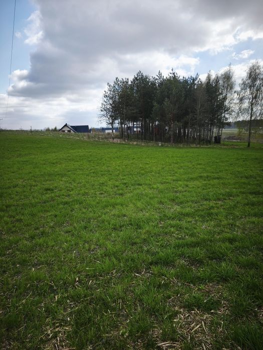 Działka budowlana Krynice