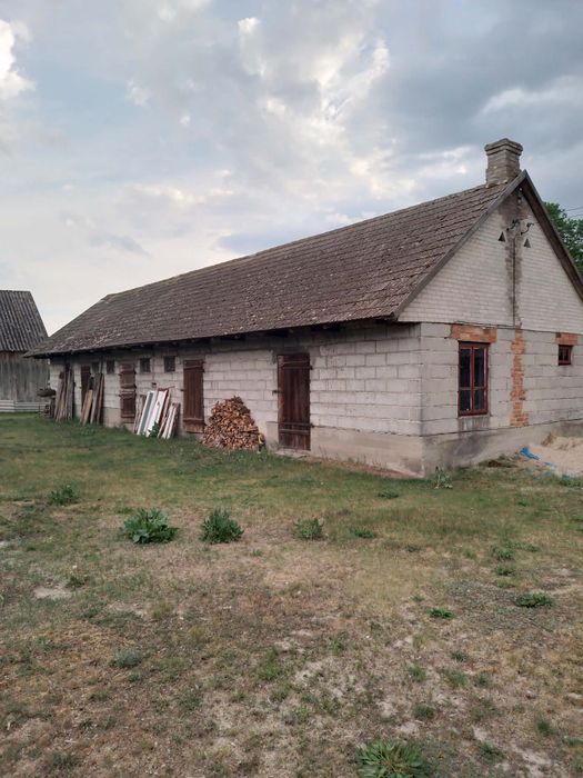 Dom z siedliskiem Brzuza