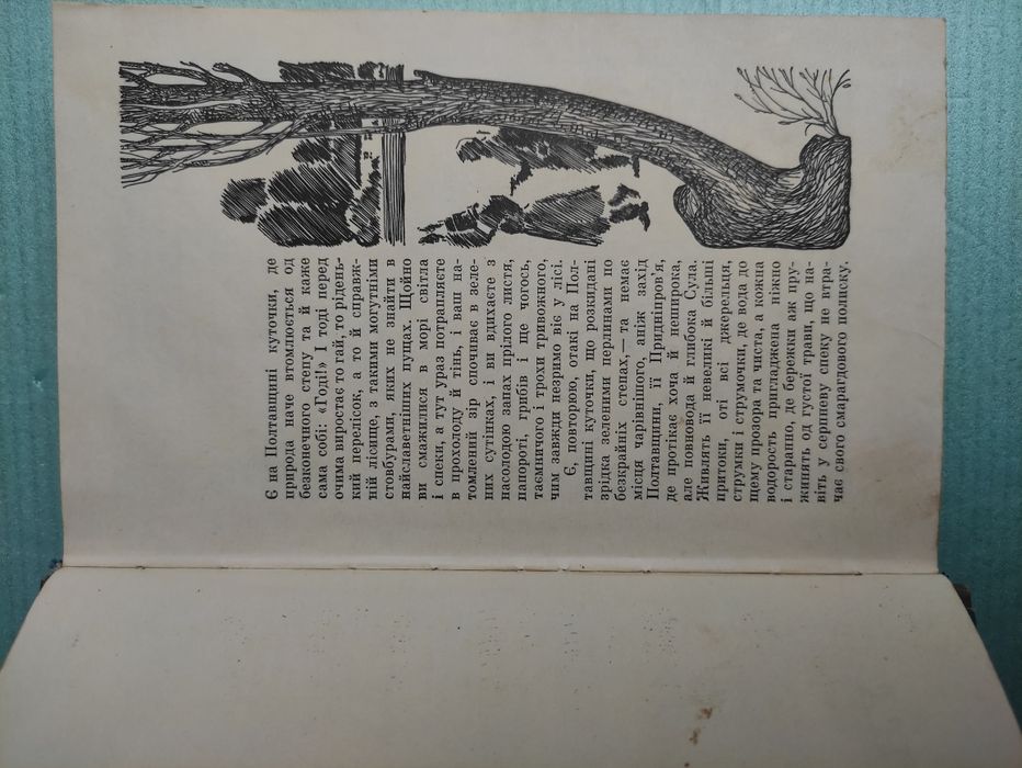 Постріли Уляни Кащук Анатолій Дімаров