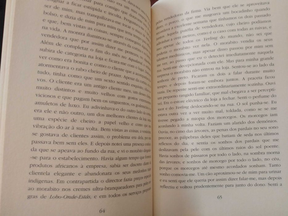 Marie Darrieussecq - Estranhos perfumes