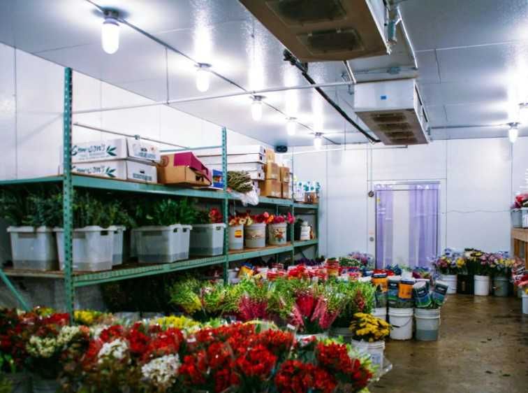 Холодильна камера, вітрина для квітів (Рівне, Рокитне, Сарни)