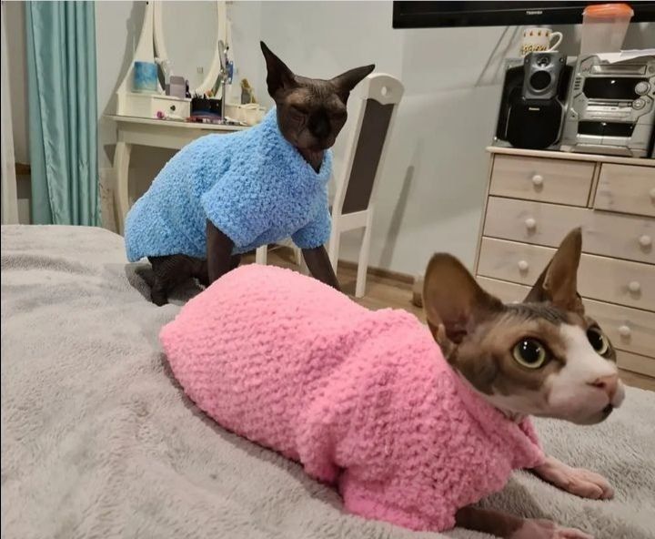 Плюшевая одежда,  свитера для котов, кошек, котят, собак, сфинксов