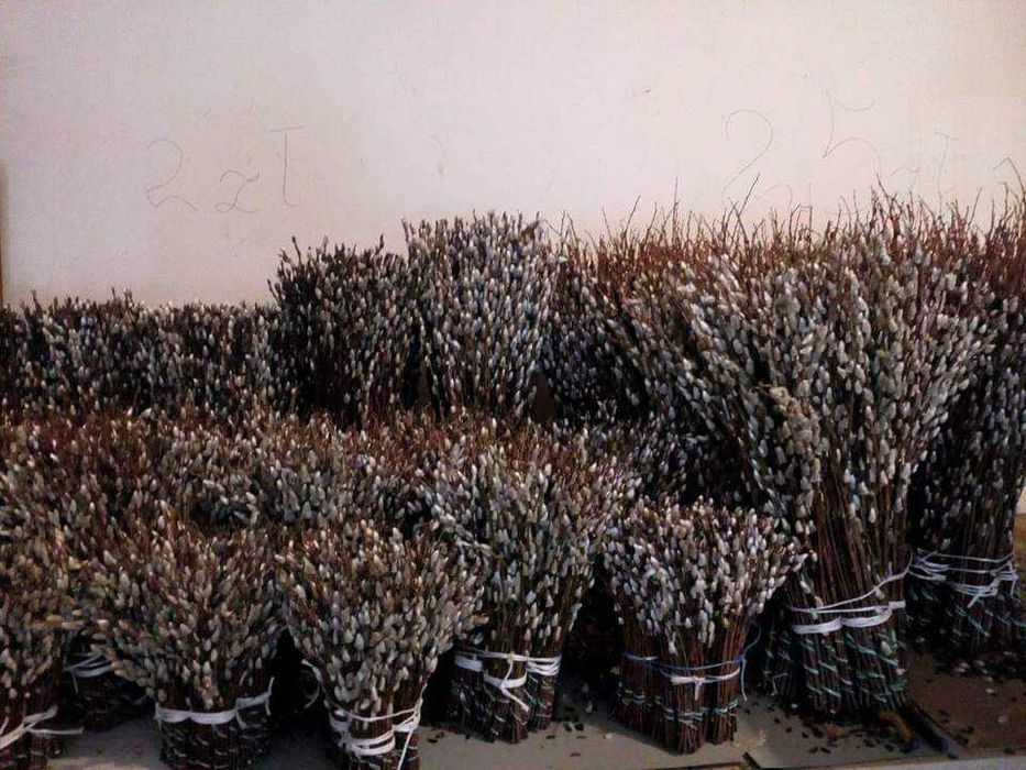 Bazie wielkanocne zapraszamy do rezerwacji na rok 2026