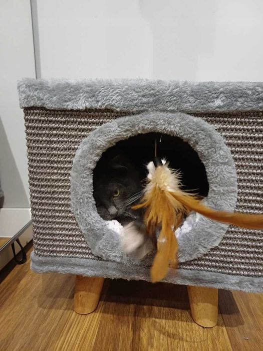 Drapak Pufa Dla Kota Domek Legowisko Na Nóżkach Szary Mebel 38cm
