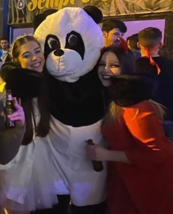 Panda ou Lobo para eventos