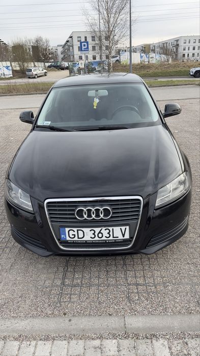 Audi A3 8P, FL, 3D