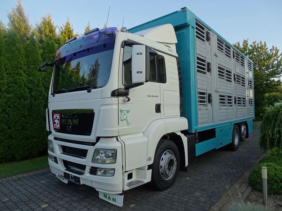 MAN TGX 26.440 DO ŻYWCA / ZWIERZĄT / BYDŁA / TRZODY / SPROWADZONY / 3 POZIOMY /