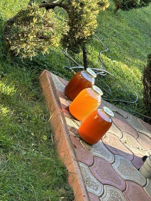Яблучний сік натуральний