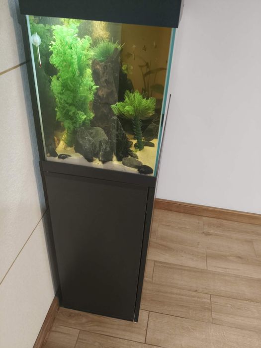 Akwarium Aquael OptiSet 125z  Wyposażenie i rybkami