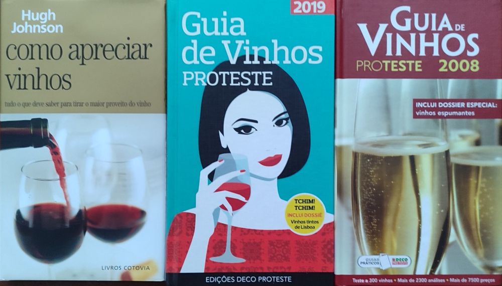 Lote de 19 livros de turismo