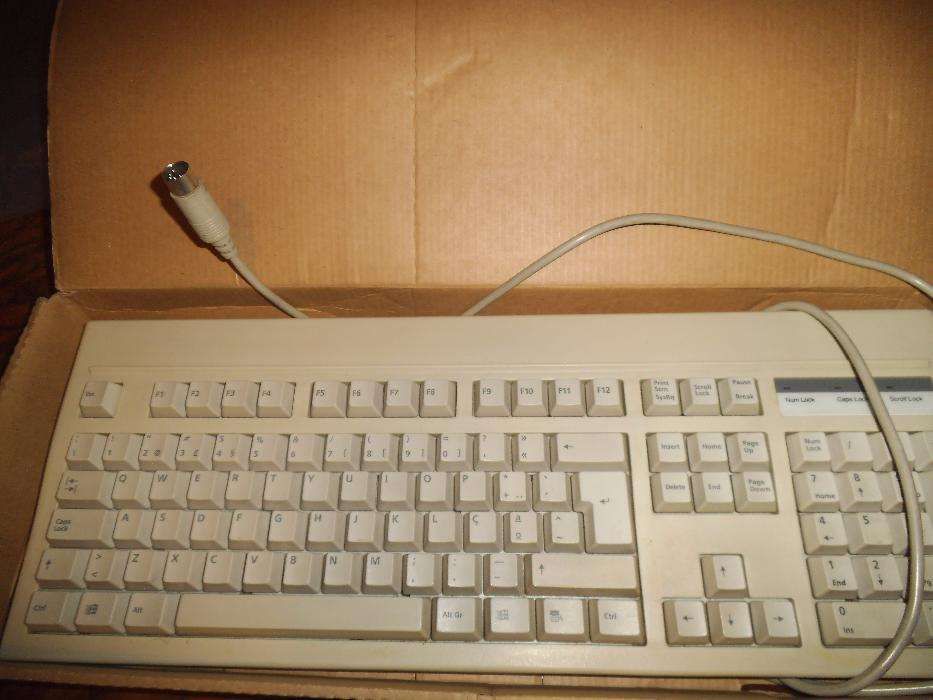 SDL 1500 MICROSOFT 98 Coleção teclado
