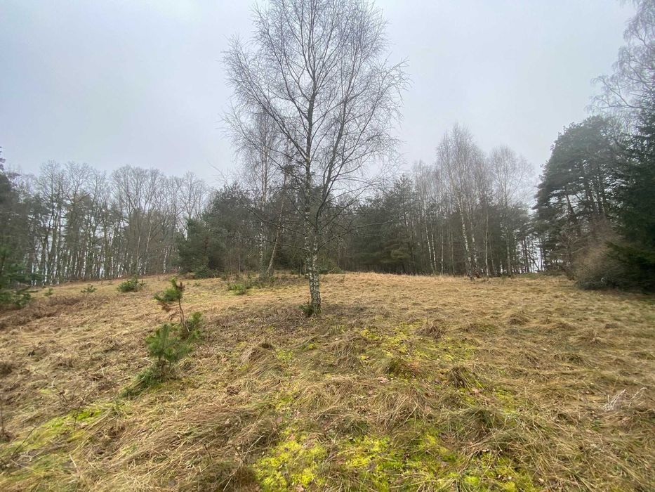 PIękna okolica, blisko jeziora