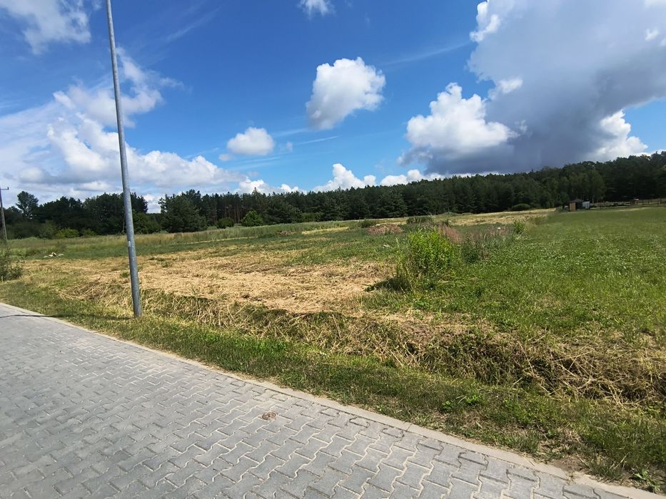 Zdjęcie 3