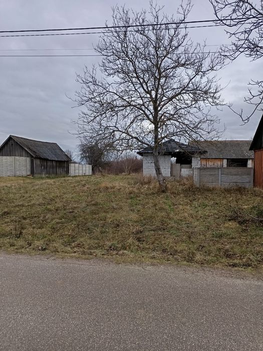 Zdjęcie 7