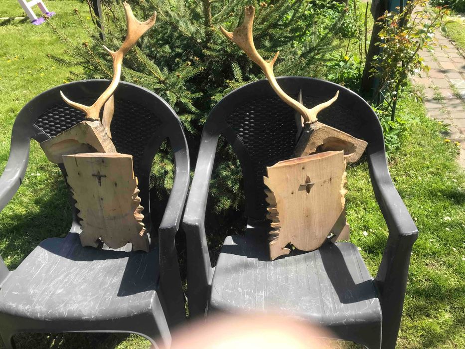 Справжні роги оленя з різбленою головою (ручна робота)