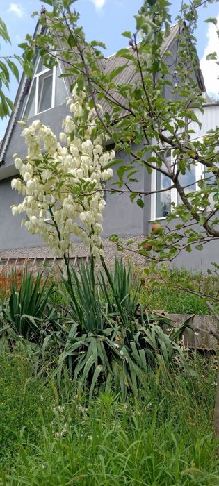 Продам двоповерховий дім  з можливістю прописки