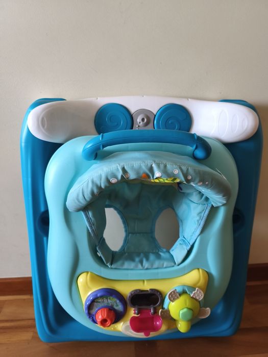 Aranha andarilho.  primeiros passos