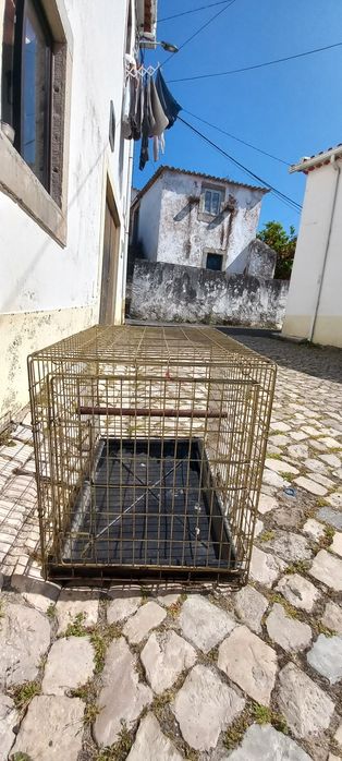 Vendo gaiola e poleiro para papagaios