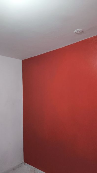 Pintor profissional404655012483573763