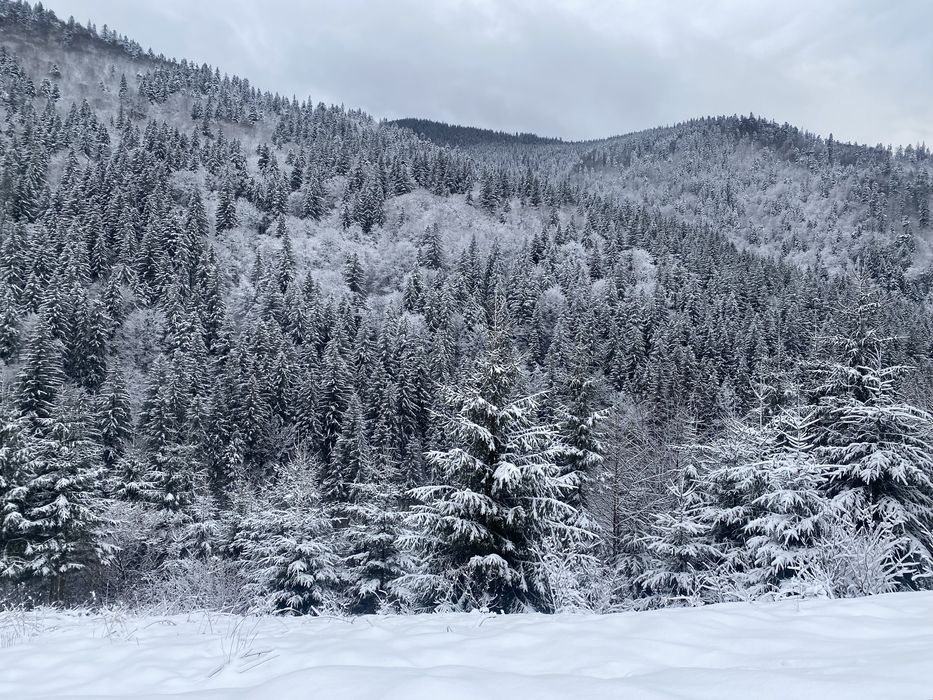Будинок з чаном  Kosivchik