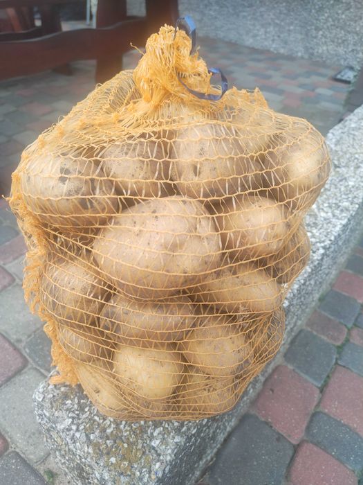 Ziemniaki jadalne Denar