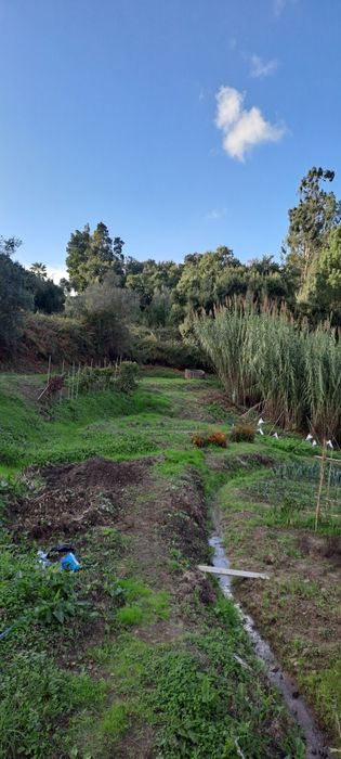 espectacular LOUSA LOURES 1.6 hectares a 15 min da capital Lisboa