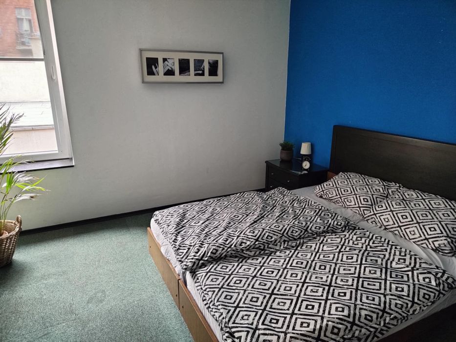 Komfortowe mieszkania na wynajem I Metallica I Podsiadło