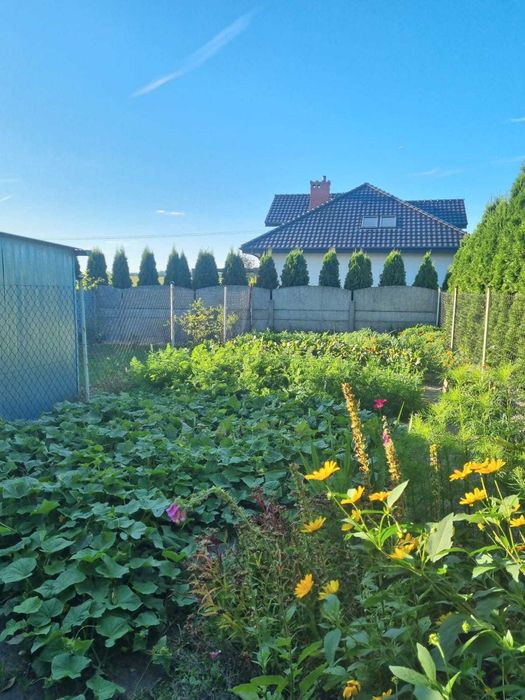 Sprzedam mieszkanie - 62,8 m2  + 2 ogródki + duże pomieszczeni gospodarcze i piwnica, do remontu