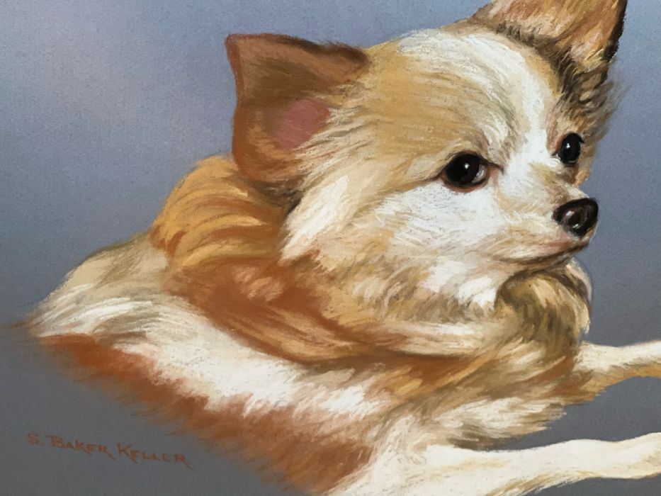 Obraz pastelowy chihuahua USA Sally Baker Keller