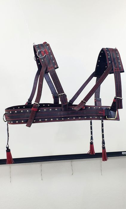 Кінна амуніція. Шлея європейка шкіряна на коня. Великий вибір упряжі