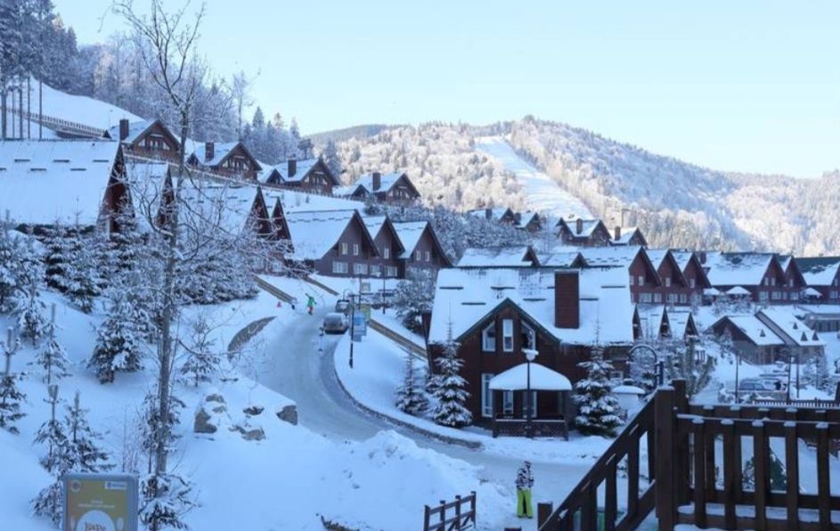 Будинок в Яблуниці. Проживання в Карпатах з харчуванням в Буковелі.