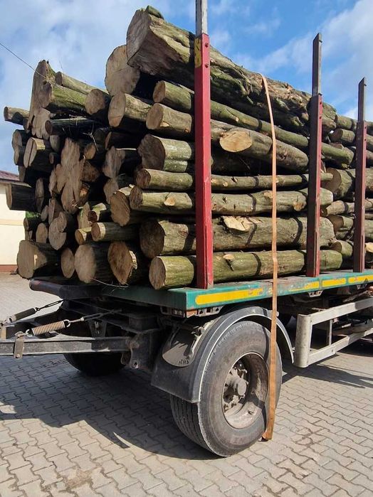 DĄB, BUK, GRAB, BRZOZA - piękne drewno opałowe kominkowe, 2,5m OKAZJA!