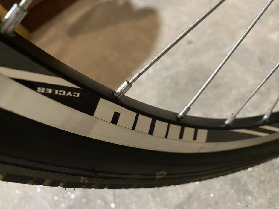 Bicicleta holandesa com cadeira criança